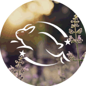 Leaping Bunny Certified badge